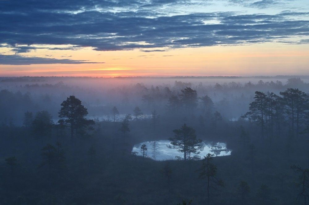 Photograph by IJA REIMAN