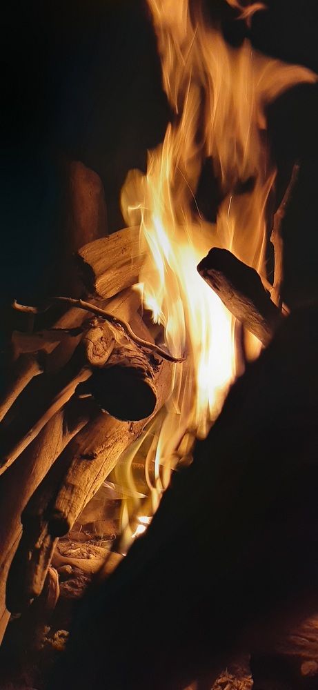 Photograph by Typbo _-_