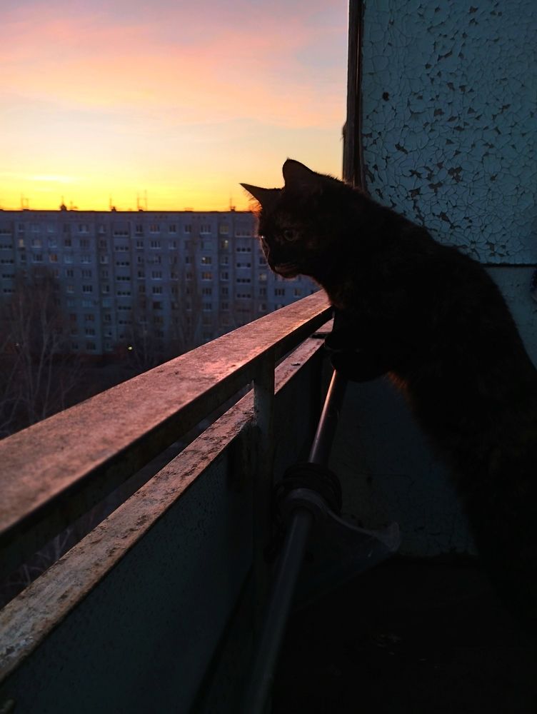 Photograph by Елена Белых