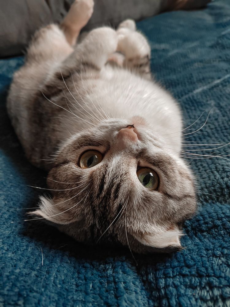 Photograph by Наталья Сидорова