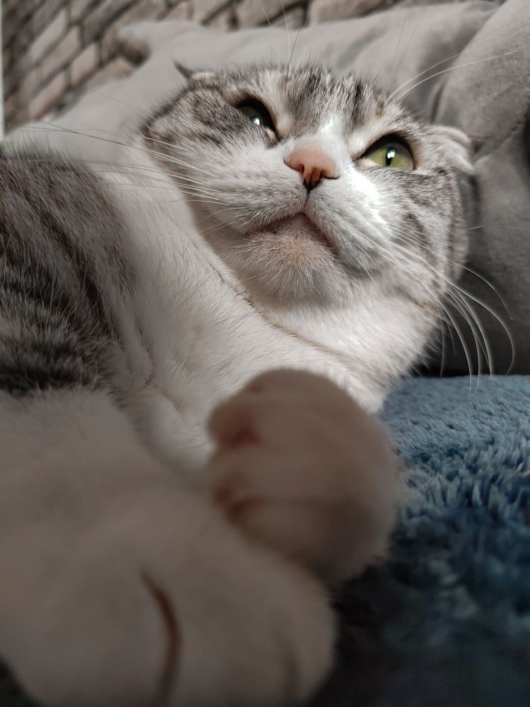 Photograph by Наталья Сидорова