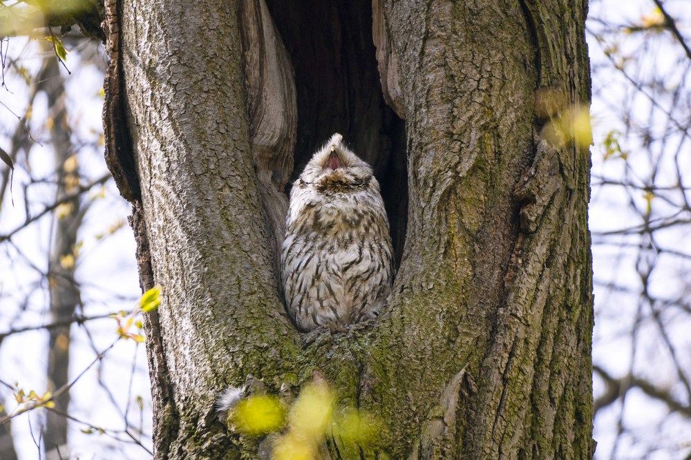Photograph by Екатерина Яковлевская