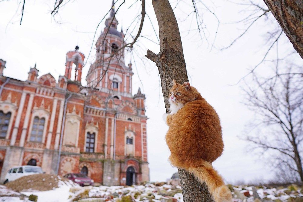 Photograph by Екатерина Яковлевская