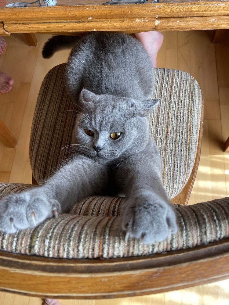 Photograph by Eugenia Schmidt