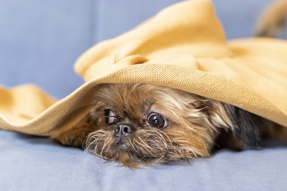 Photograph by Evgeniia Iakimenko