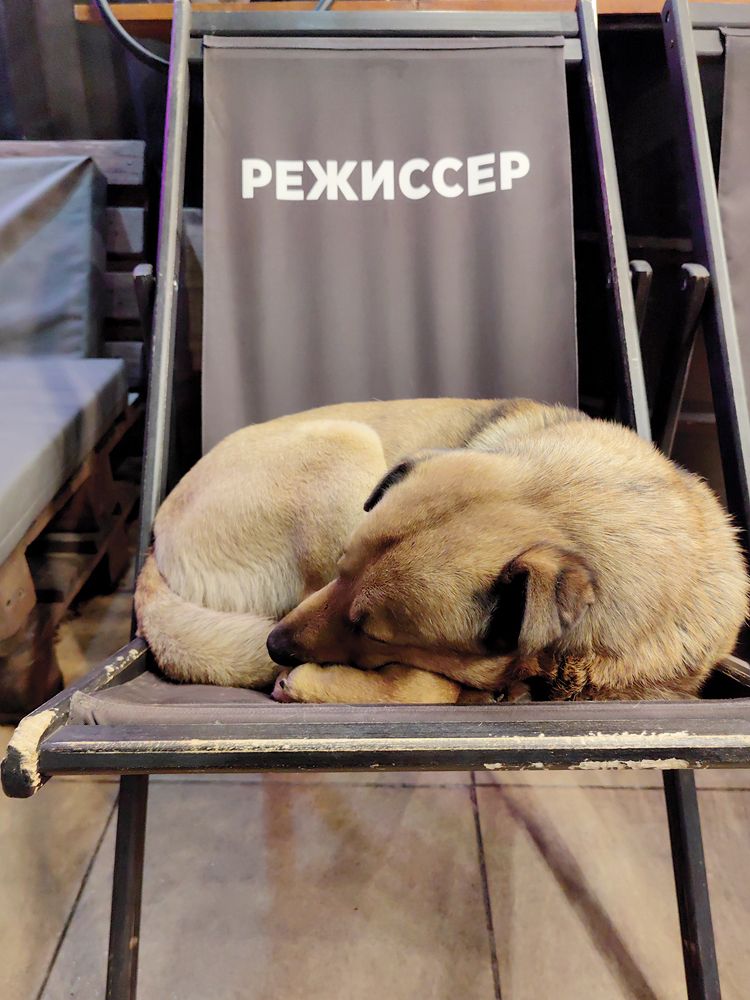 Photograph by Evgeniia Iakimenko