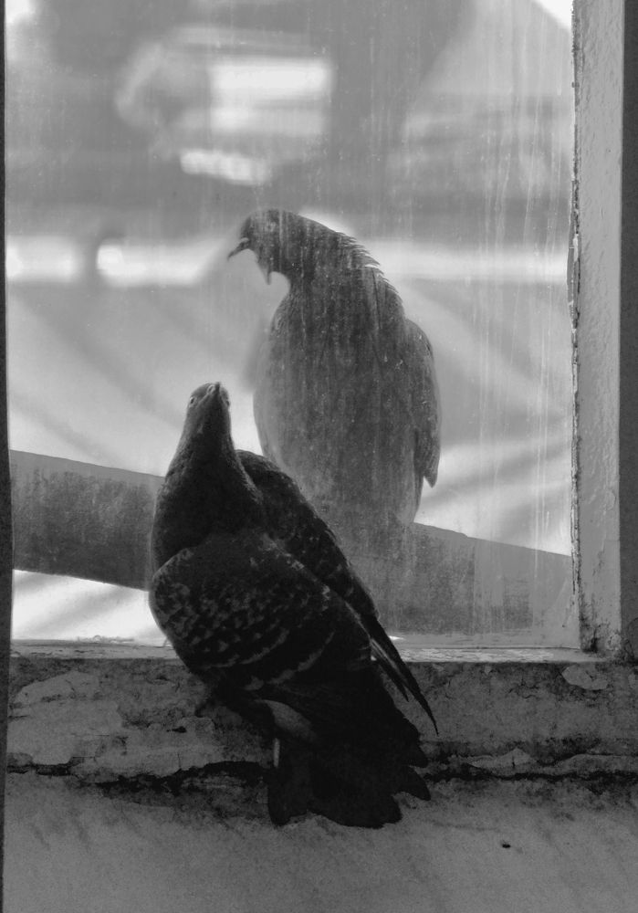 Photograph by Константин Мишнаевский