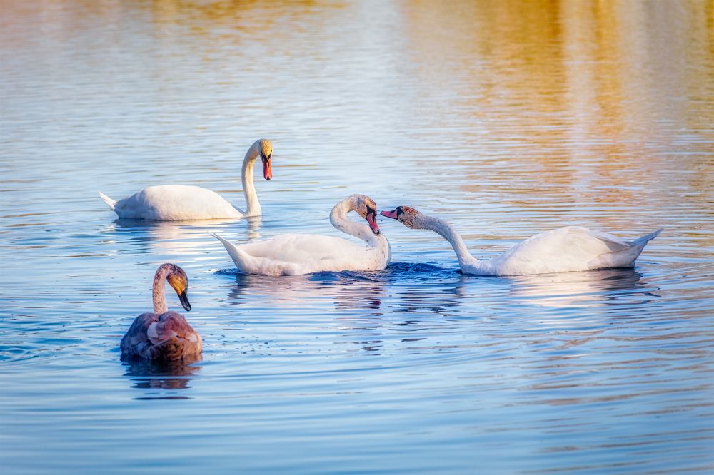 Photograph by Владимир Кваша