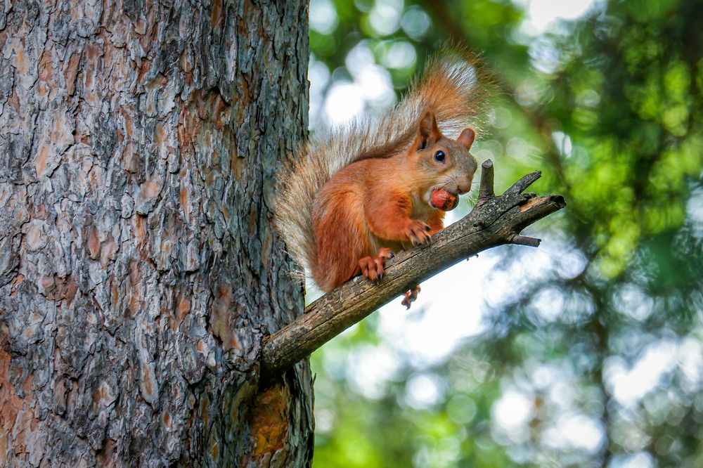 Photograph by Ольга Тюрина