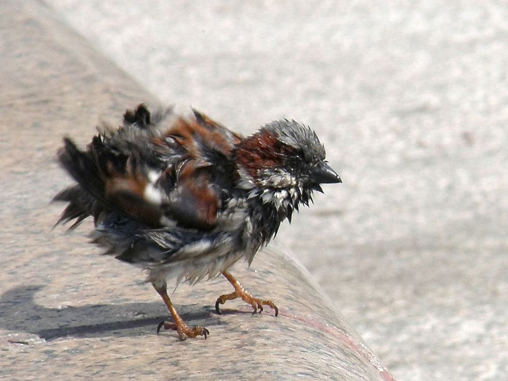 Photograph by Константин Мишнаевский