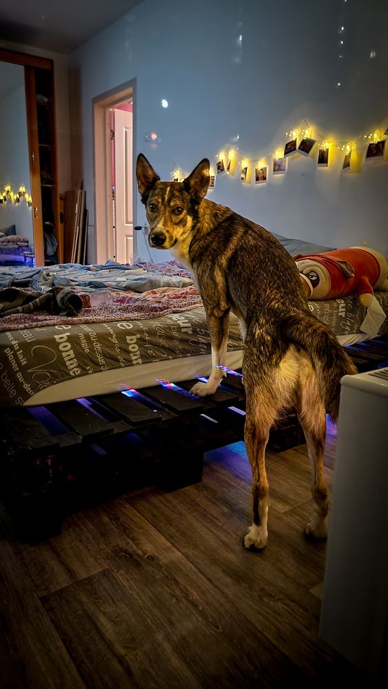 Фотография автора Всеволод Юрша