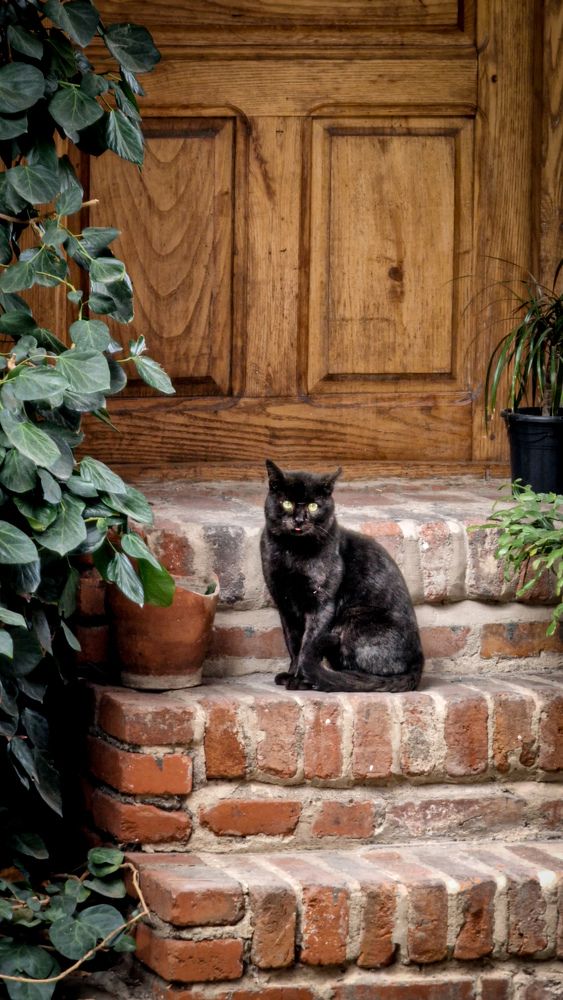 Фотография автора Всеволод Юрша