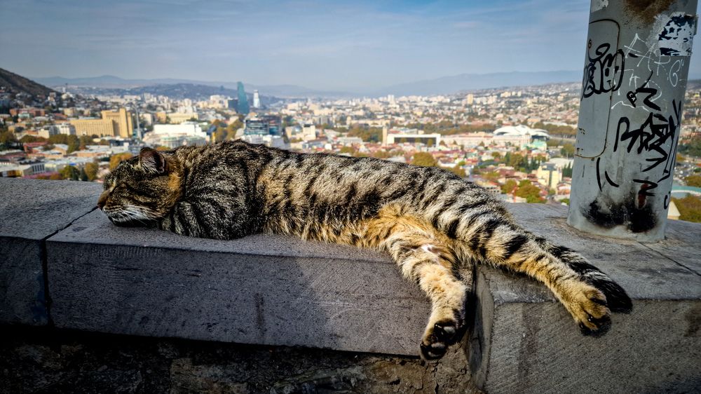 Фотография автора Всеволод Юрша