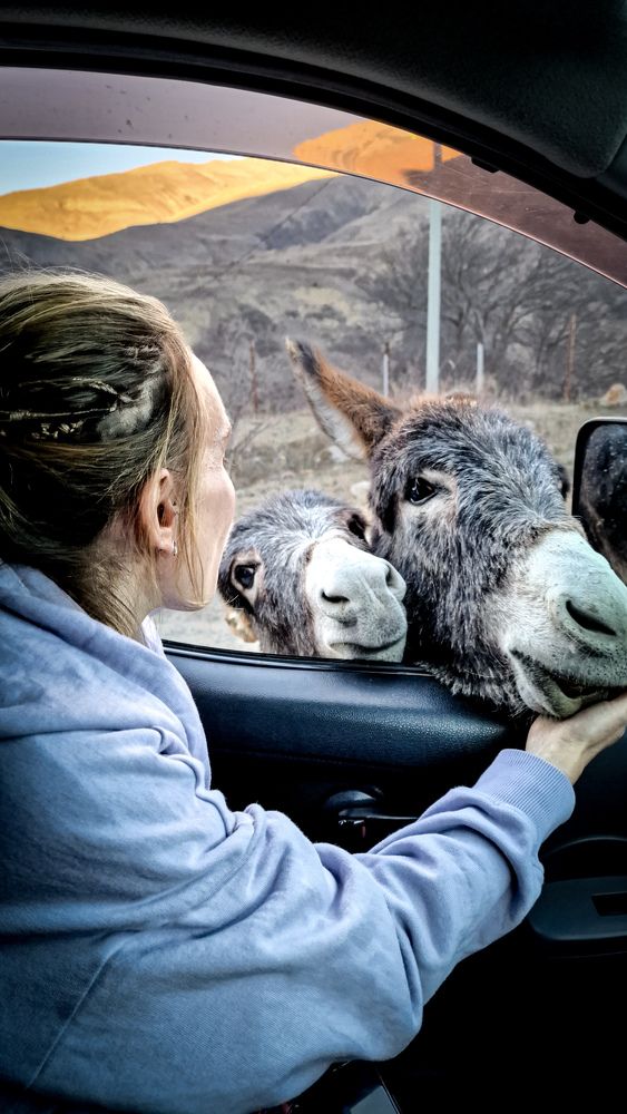 Фотография автора Всеволод Юрша