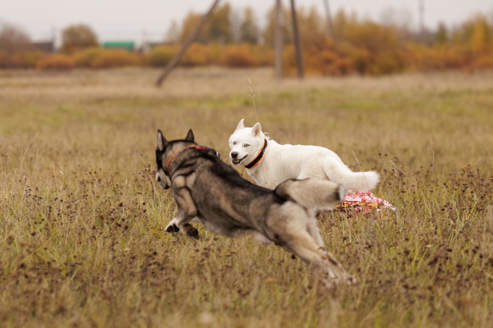 Photograph by Илья Юфа