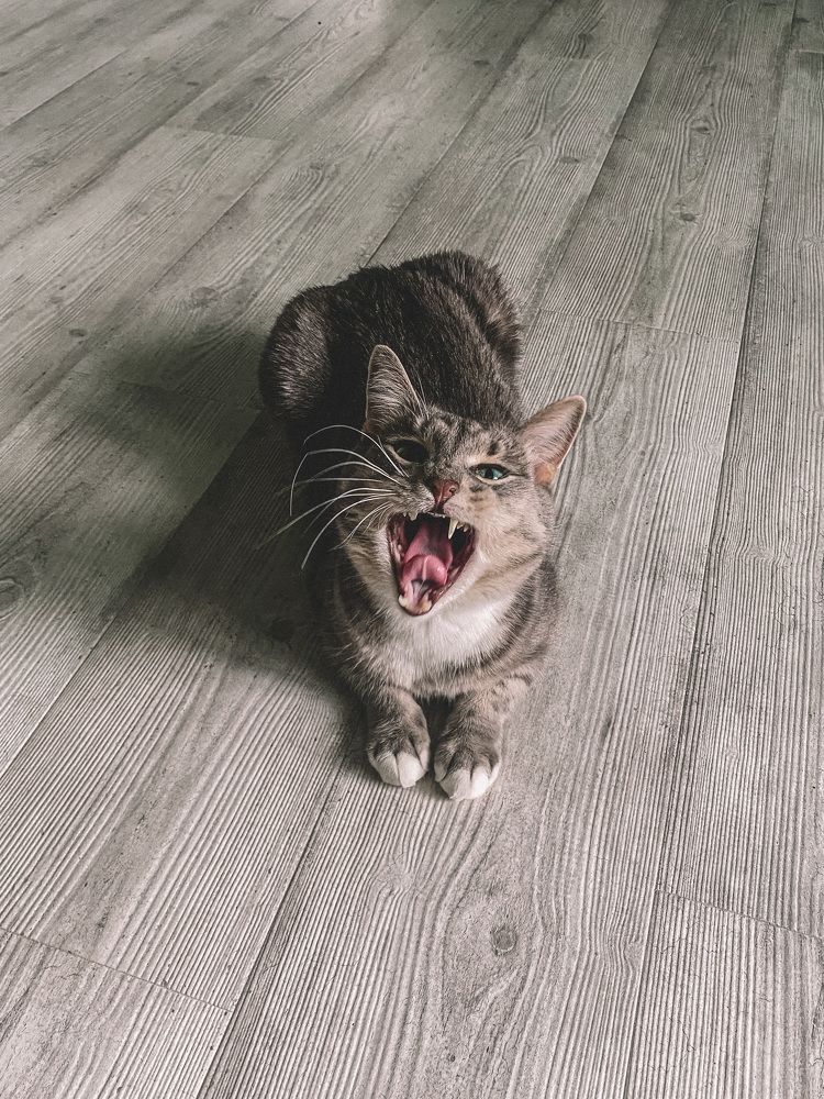 Photograph by Мария Петрова