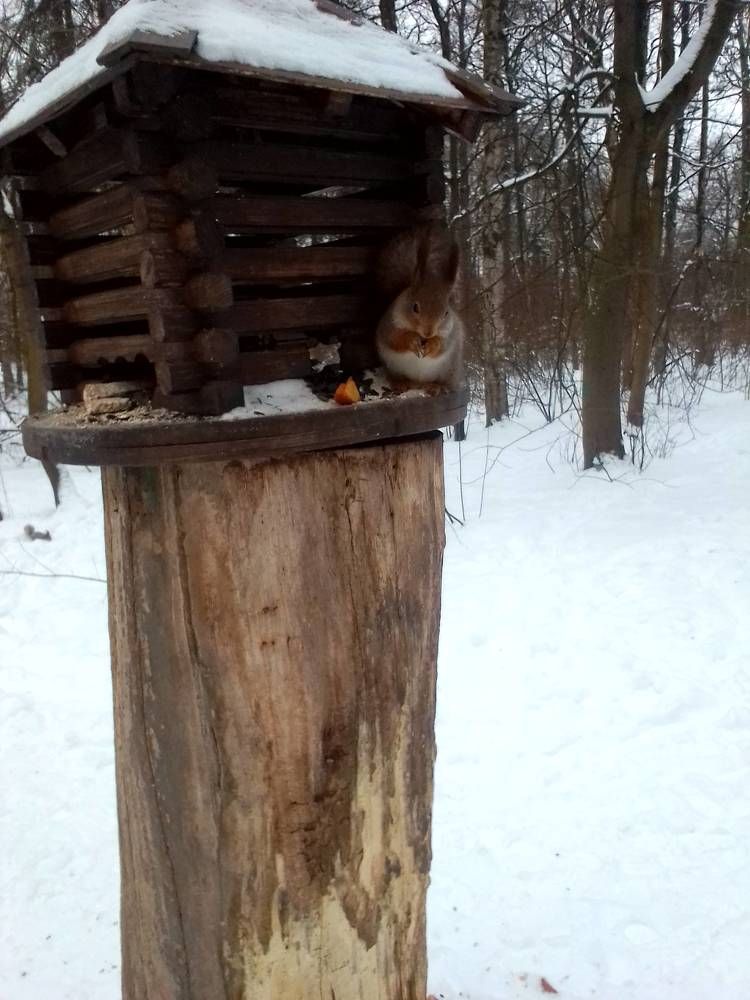 Photograph by Ольга Коркина