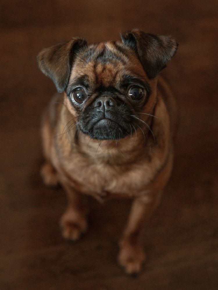 Photograph by Елена Барбарич