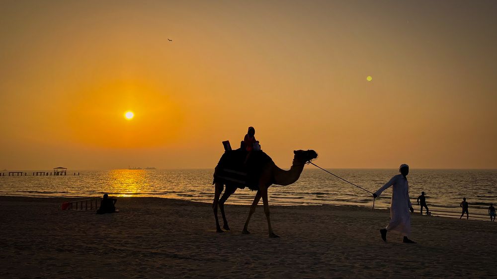 Фотография автора Рамзия Хисамутдинова