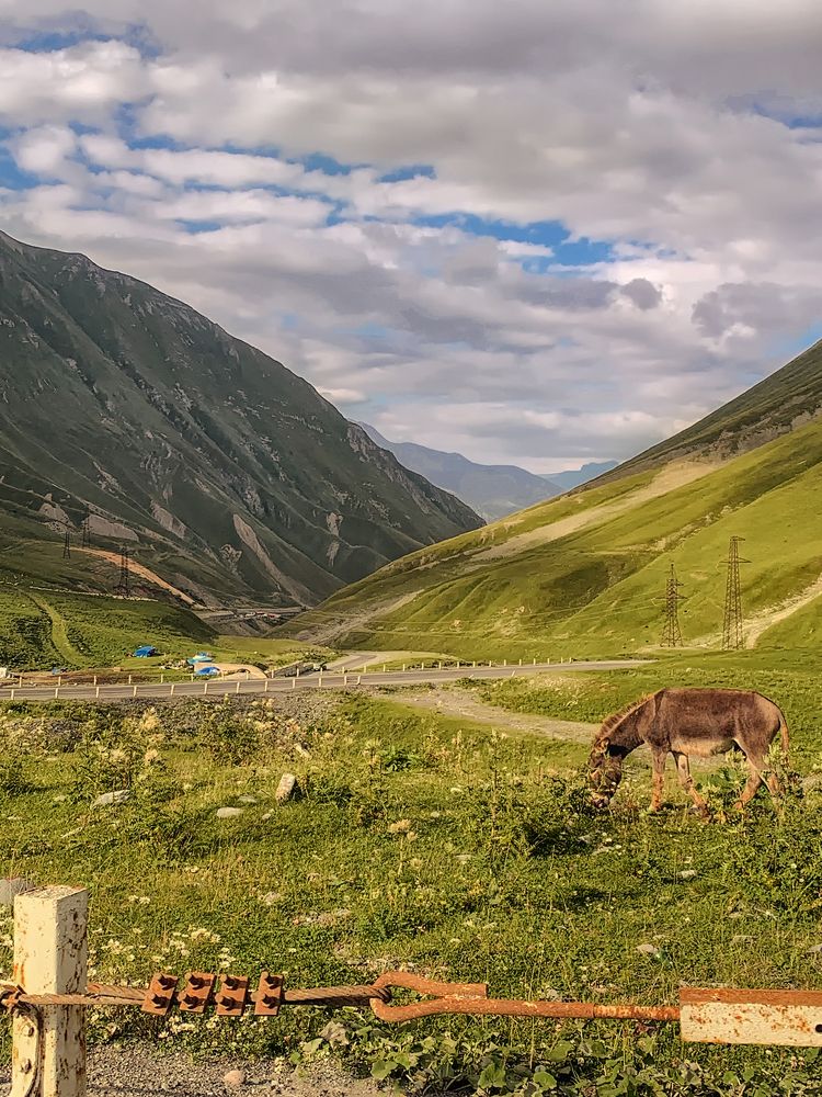 Photograph by Галина Иванова