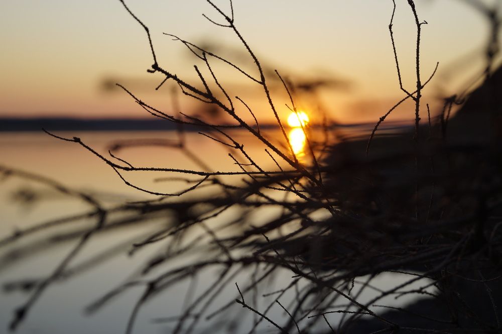 Photograph by Татьяна Бешенкина