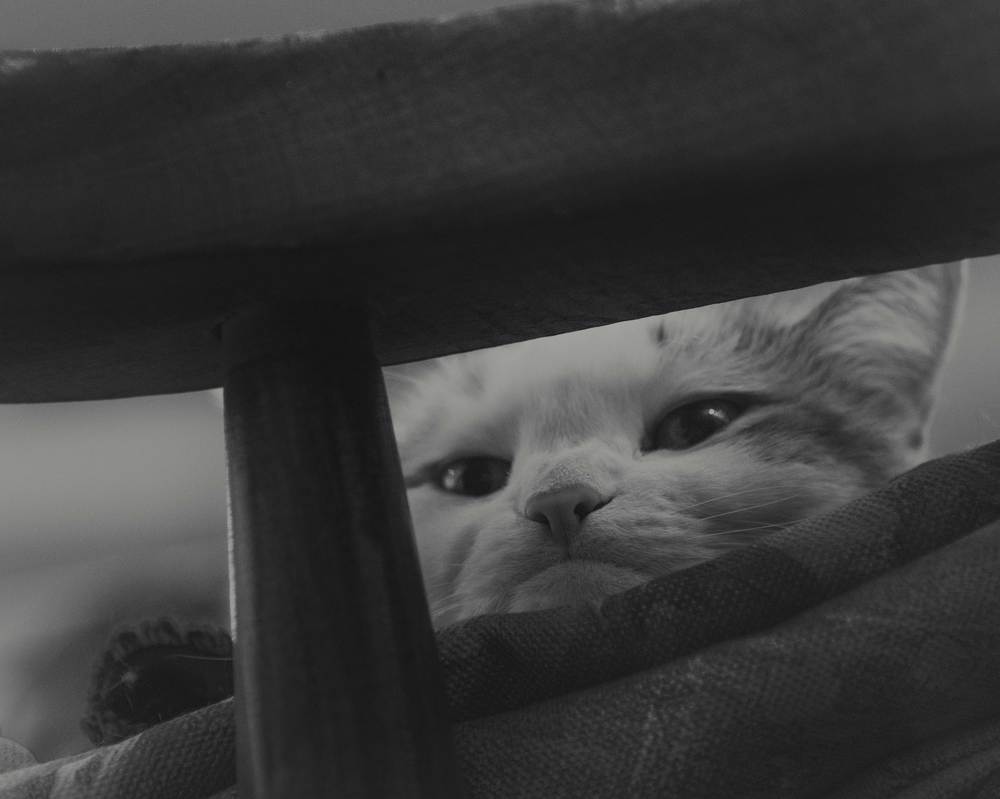 Photograph by Iman Barin