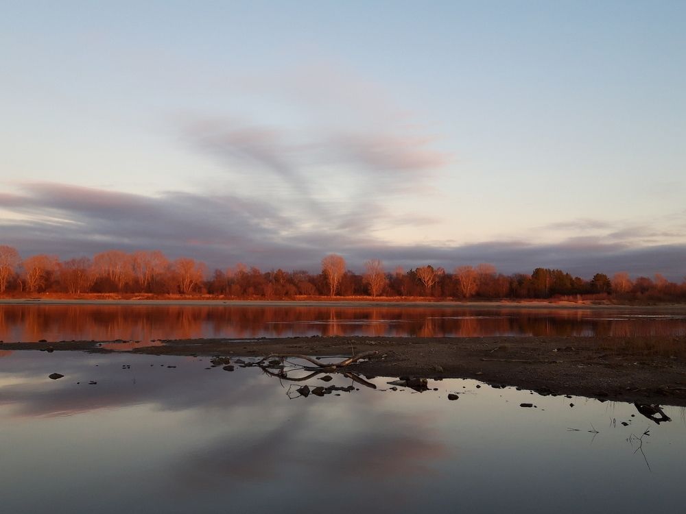 Photo #9824445