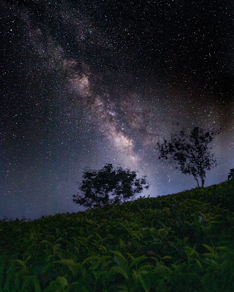 Embracing the beauty of Stardust