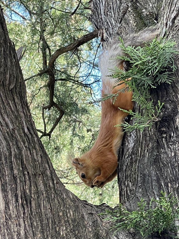 Photograph by Татьяна Токарева