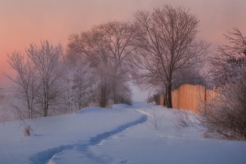 Photograph by Илья Толстоноженко
