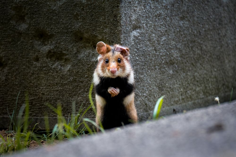 Photograph by Olena Pfister