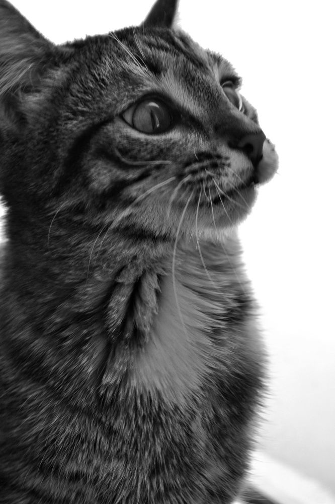 Photograph by Жанна Цветкова