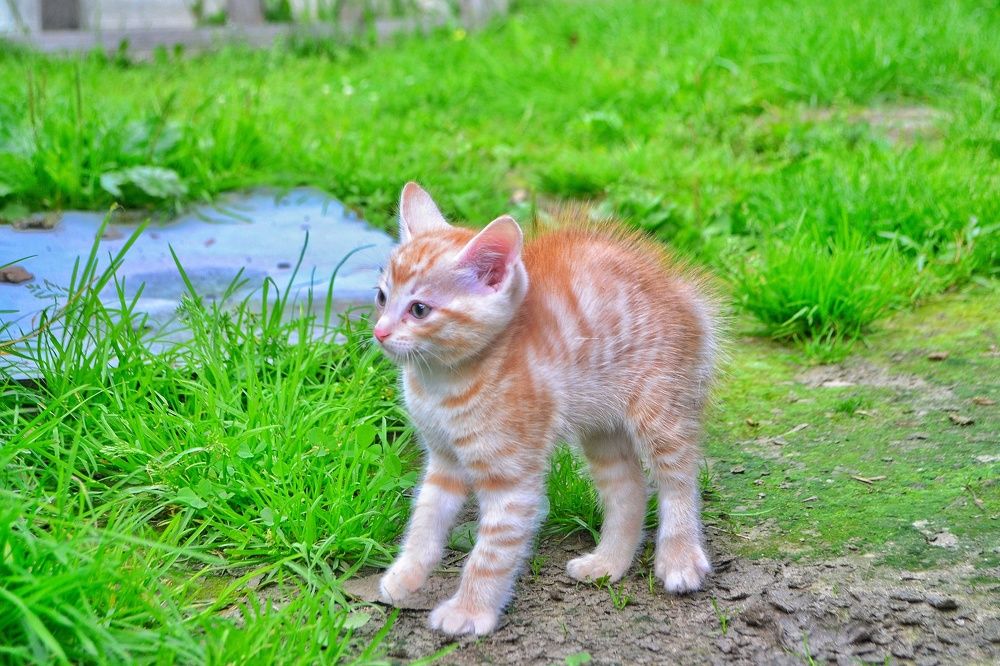 Photograph by Жанна Цветкова