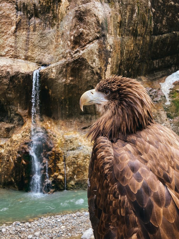 Photograph by Юлия Ерофеева