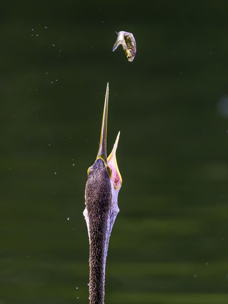 Photograph by Пупонин Сергей