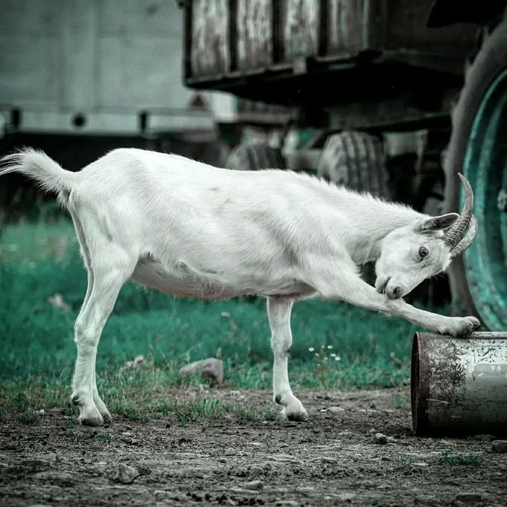 Photograph by Татьяна Исаева