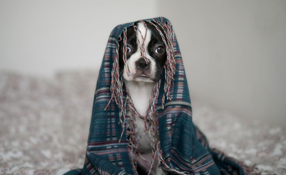 Photograph by Олег Иваницкий