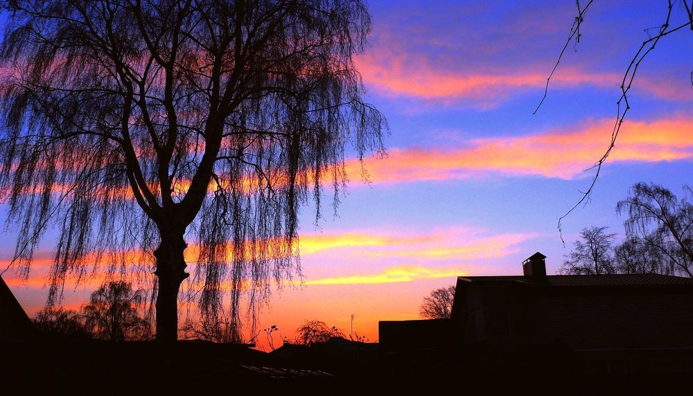 Photograph by натапов леонид