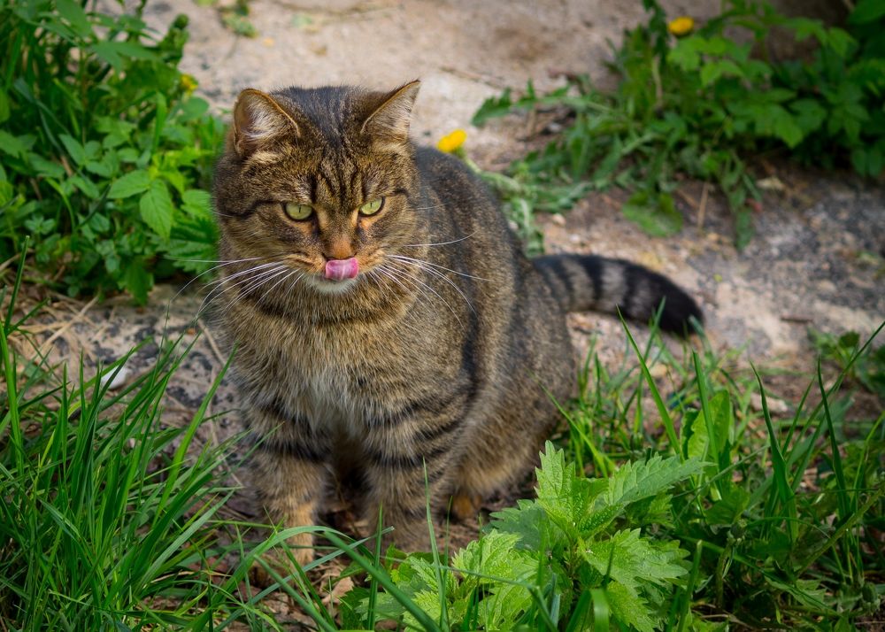 Photograph by Olga Snai