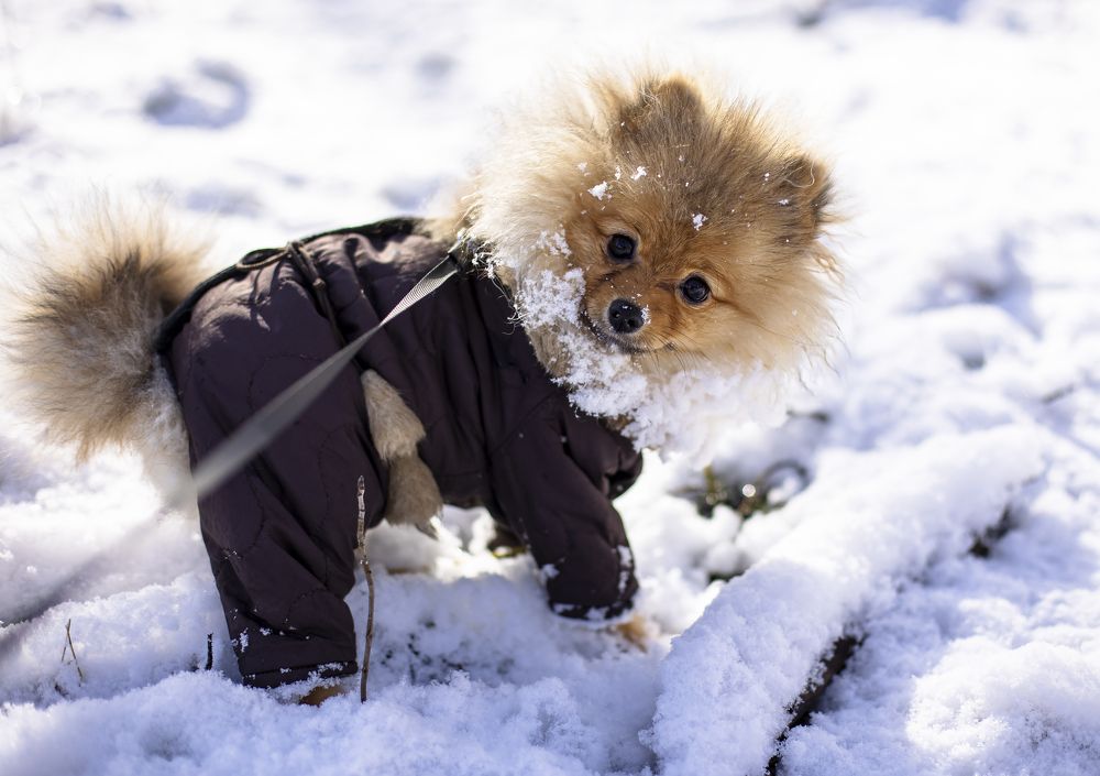 Photograph by Татьяна Кириллова