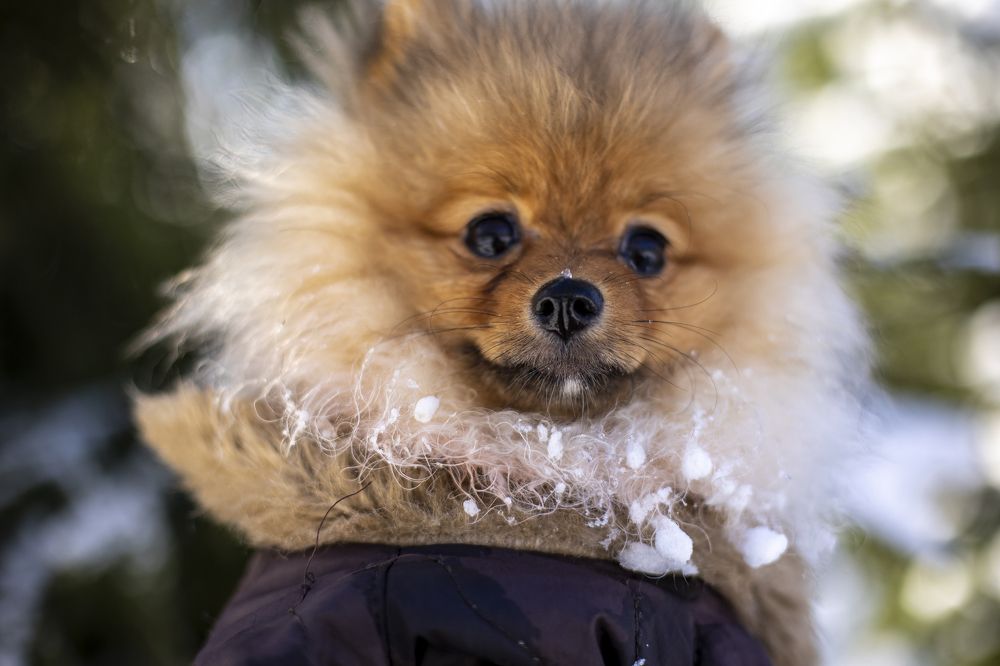 Photograph by Татьяна Кириллова