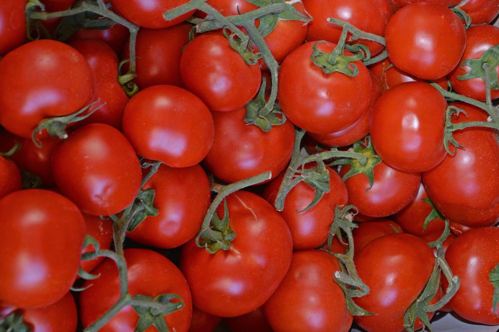 Photograph by Александр Каплан