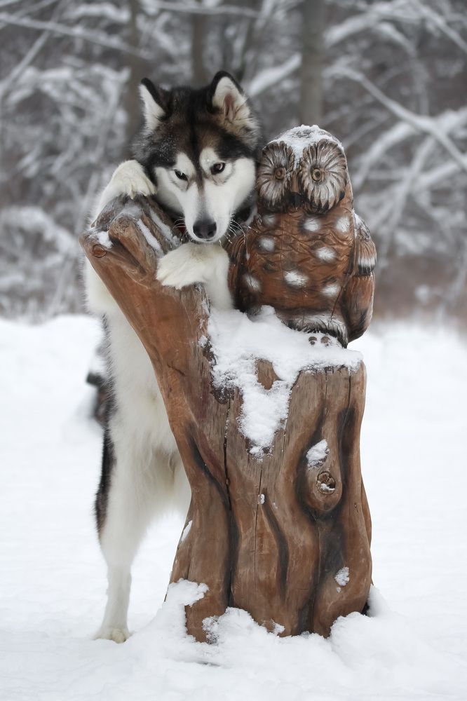 Photograph by Наталья Гайдукевич