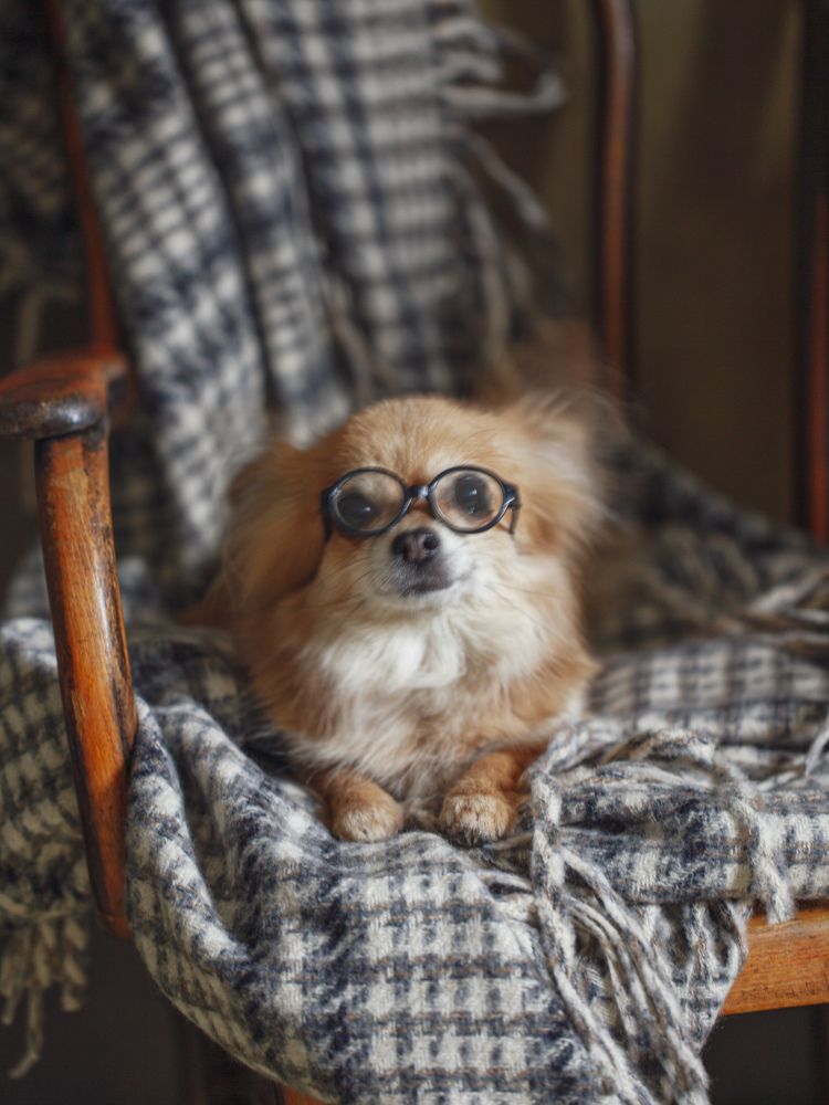 Photograph by Елена Бородина