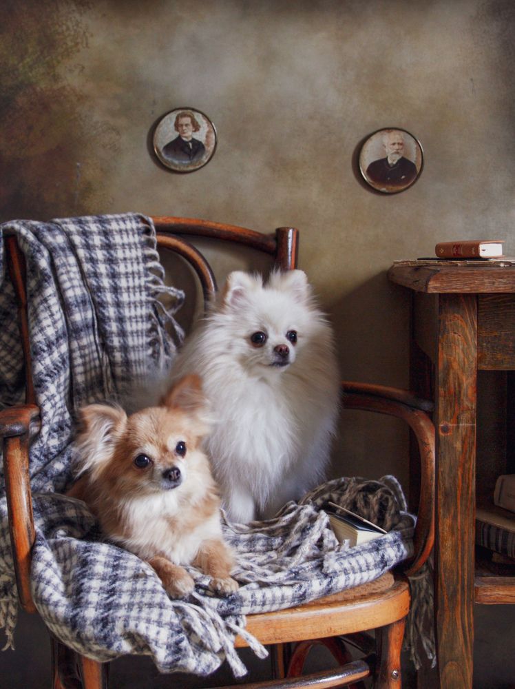 Photograph by Елена Бородина