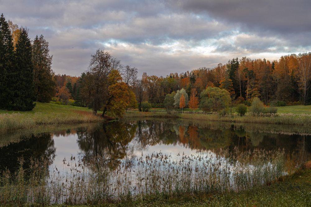 Осенняя палитра.