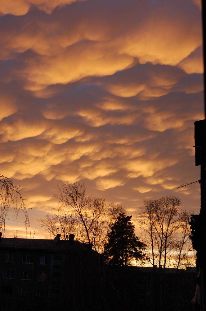 Photograph by Марина Ножнина