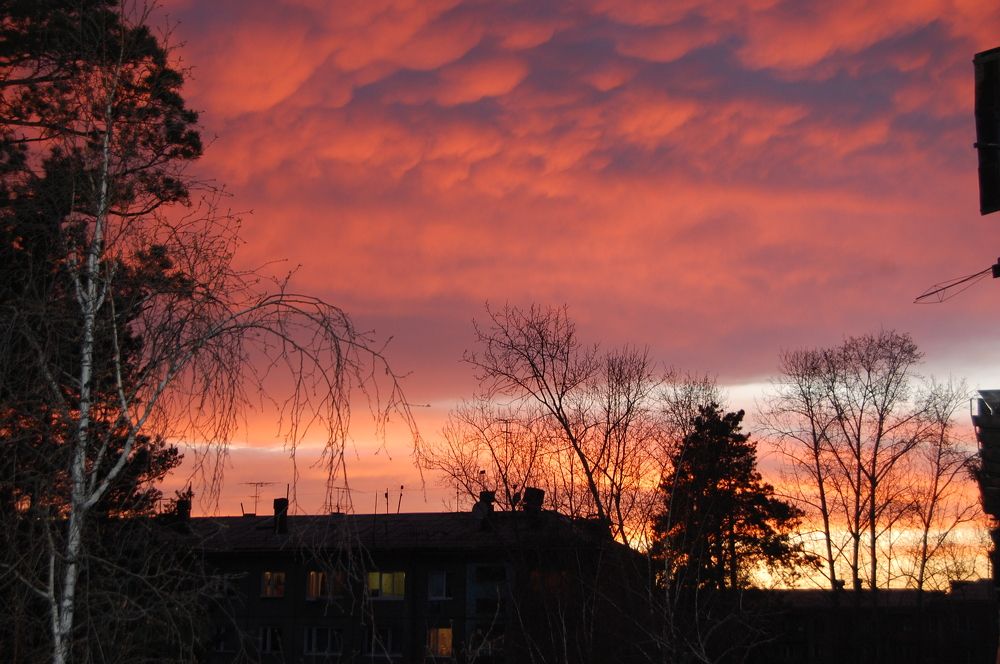 Photograph by Марина Ножнина