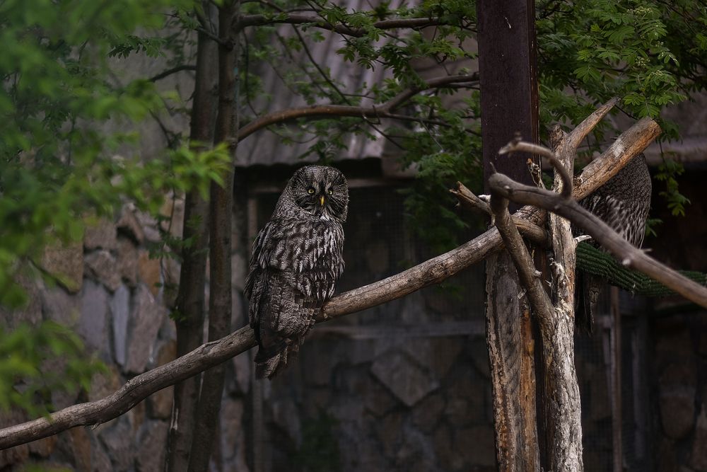 Photograph by Виктория Шамурина