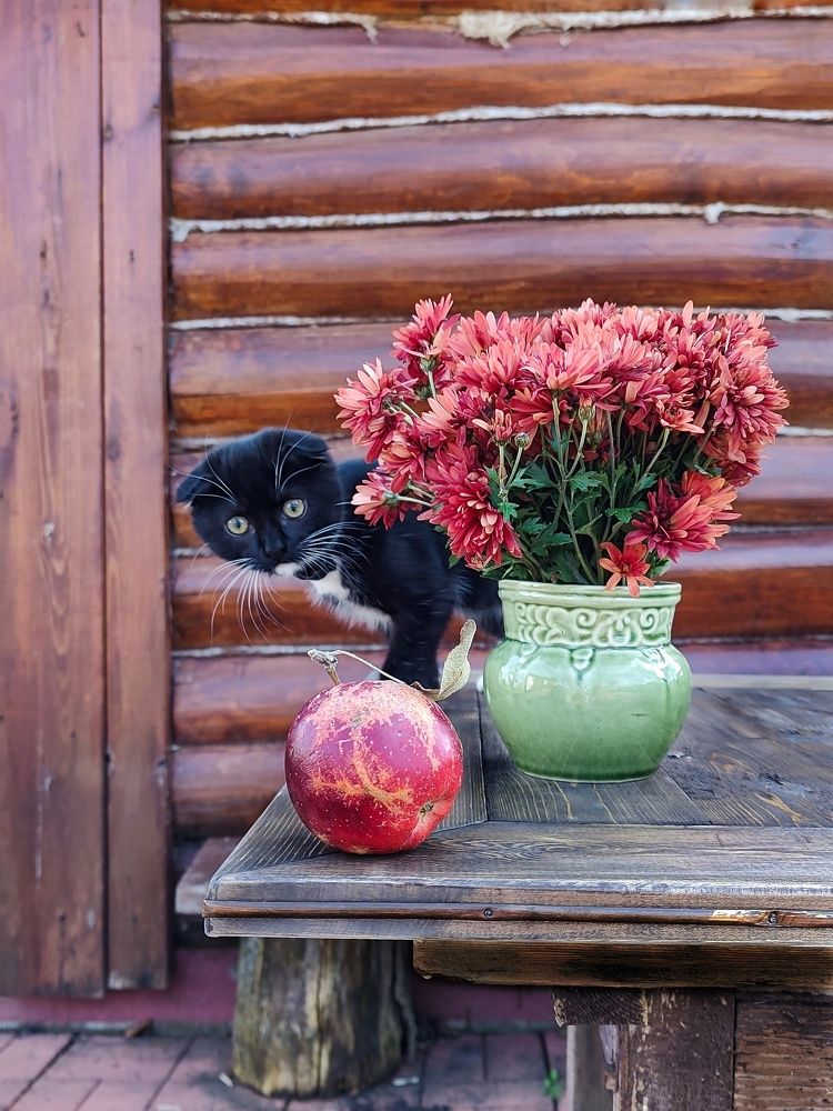 Photograph by Рина Хуртова